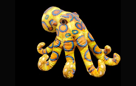 Plush toy blue ringed octopus