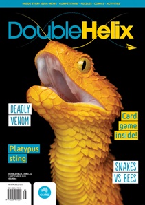 DoubleHelix Cover