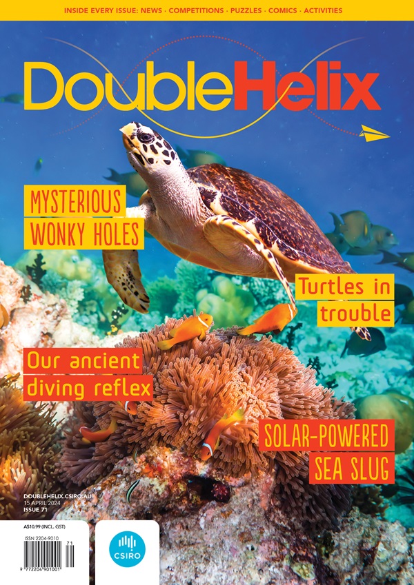 Cover image of DH71, under sea image of a turtle swimming above clown fish on the reef.